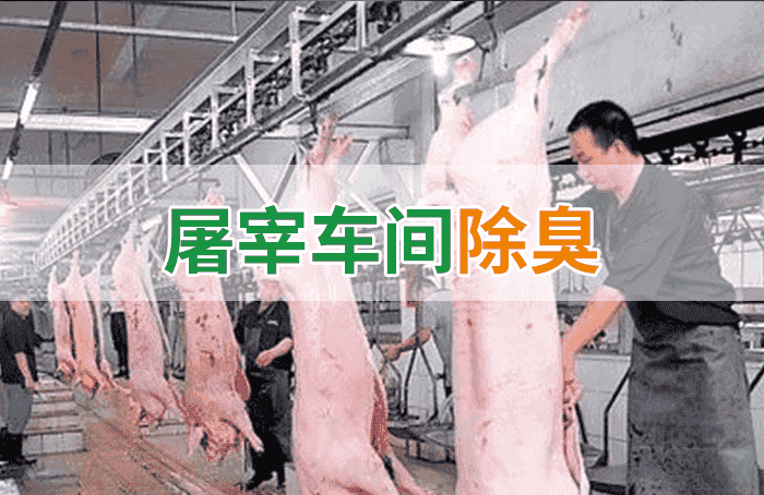 屠宰場臭氣影響周邊環境？解決辦法在這里-1