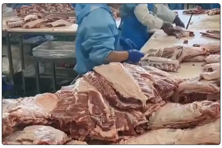 屠宰工廠惡臭影響周邊，使用除臭劑有什么注意要點(diǎn)？.jpg