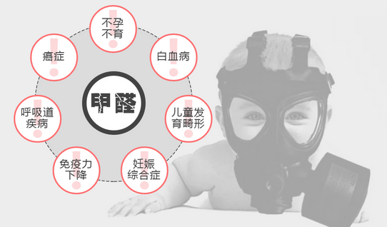 常見的“除甲醛”方法有哪些呢？有什么優缺點？