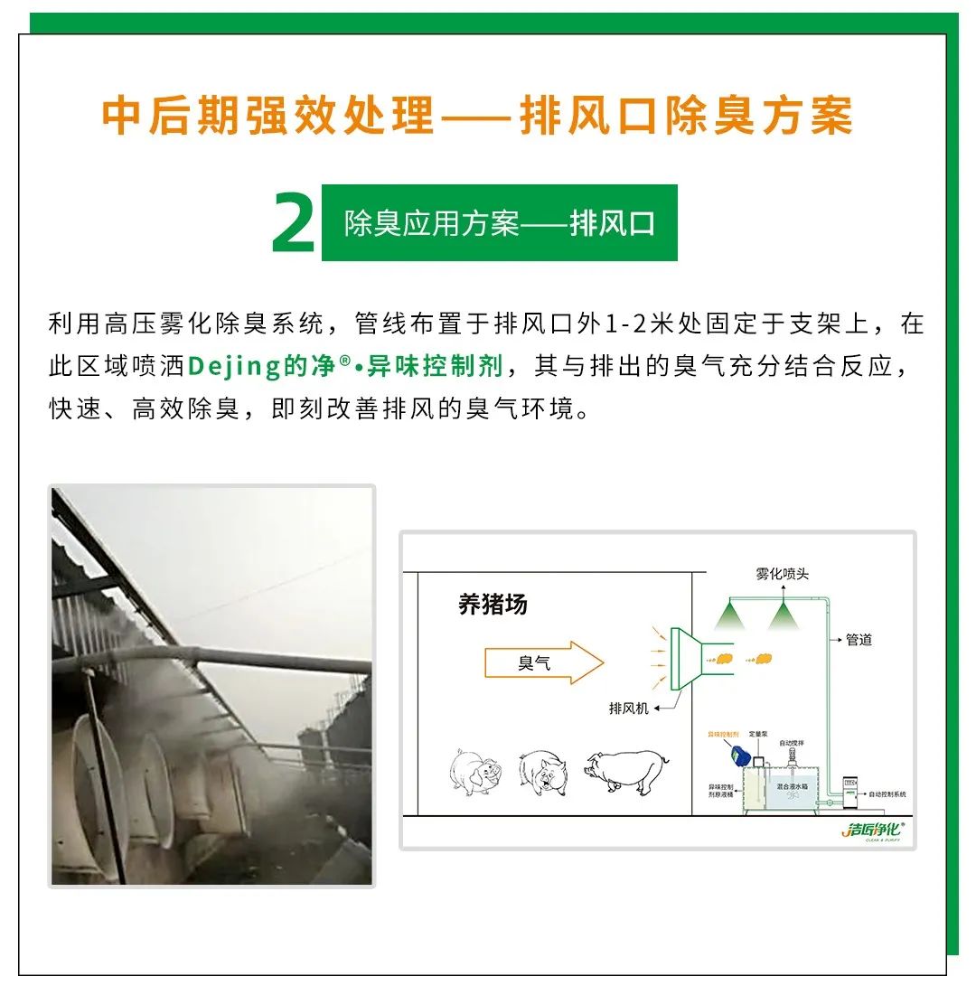 Dejing的凈養殖場除臭劑如何迅速清理養殖場臭味？.jpg