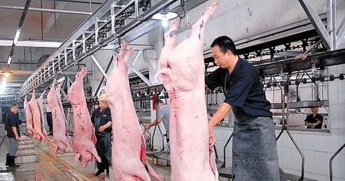 屠宰場臭氣影響周邊環境？解決辦法在這里.jpg